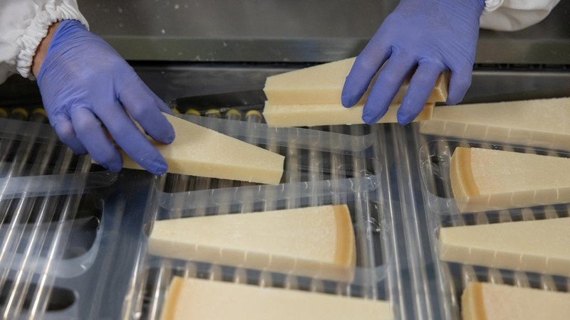 Seseorang menempatkan potongan keju Parmigiano Reggiano ke dalam nampan plastik di jalur pengemasan GranTerre, sebuah proses yang membutuhkan pengendalian iklim ekstra selama musim panas, di Montecavolo di Quattro Castella, Italia, 6 Juli 2026.