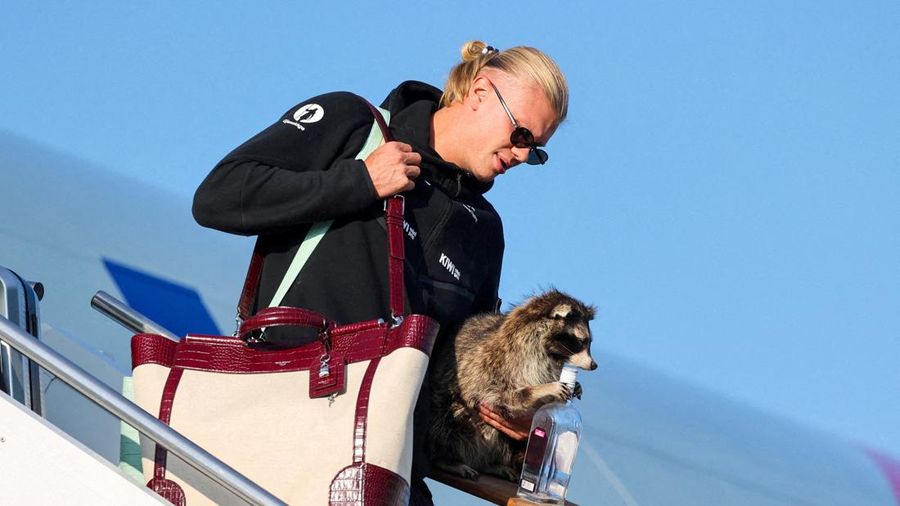 Erling Haaland dari Norwegia membawa pulang teman berbulu setelah kembali dari Piala Dunia. (via REUTERS/Jan Langhaug)