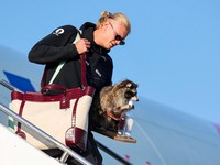 Erling Haaland dari Norwegia membawa pulang teman berbulu setelah kembali dari Piala Dunia. (via REUTERS/Jan Langhaug)