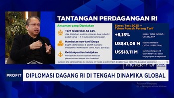 Jadi Rebutan Dunia, RI Incar Hilirisasi Logam Tanah Jarang