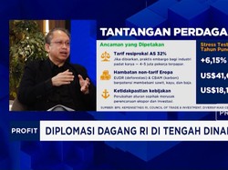Jadi Rebutan Dunia, RI Incar Hilirisasi Logam Tanah Jarang