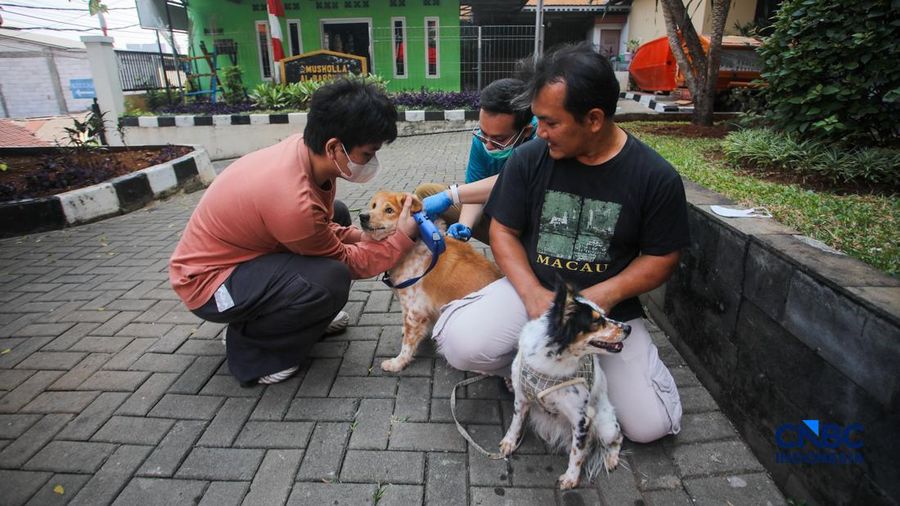 Layanan kesehatan di dalam Mobil Klinik Hewan Keliling di Jakarta, Selasa (14/7/2026).