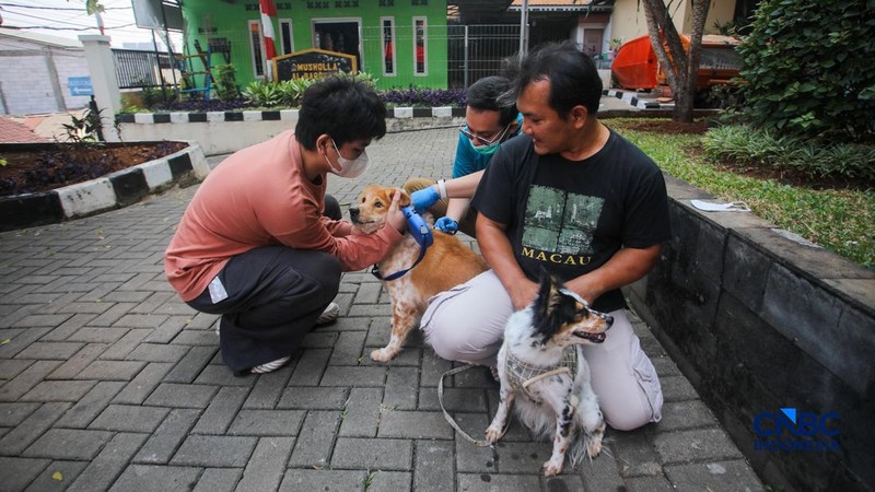 Layanan kesehatan di dalam Mobil Klinik Hewan Keliling di Jakarta, Selasa (14/7/2026).