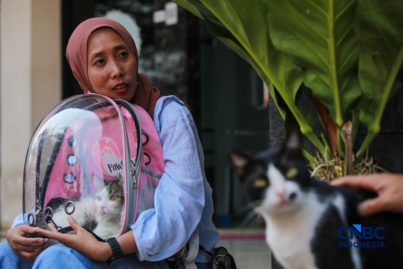 Layanan kesehatan di dalam Mobil Klinik Hewan Keliling di Jakarta, Selasa (14/7/2026). (CNBC Indonesia/Faisal Rahman)