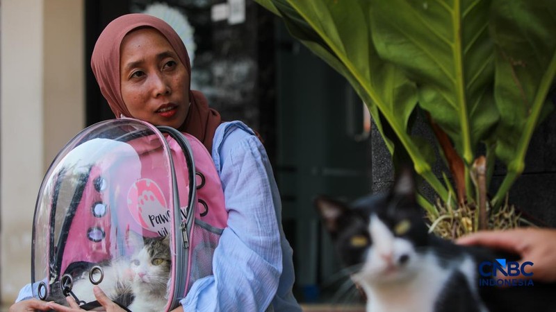 Layanan kesehatan di dalam Mobil Klinik Hewan Keliling di Jakarta, Selasa (14/7/2026).