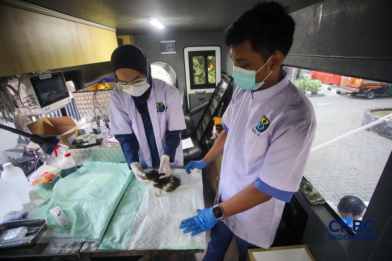 Layanan kesehatan di dalam Mobil Klinik Hewan Keliling di Jakarta, Selasa (14/7/2026). (CNBC Indonesia/Faisal Rahman)