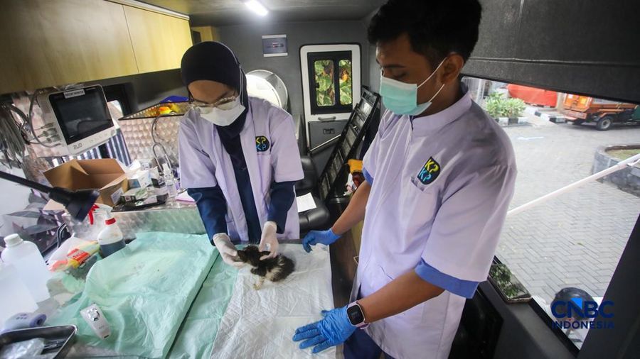 Layanan kesehatan di dalam Mobil Klinik Hewan Keliling di Jakarta, Selasa (14/7/2026).
