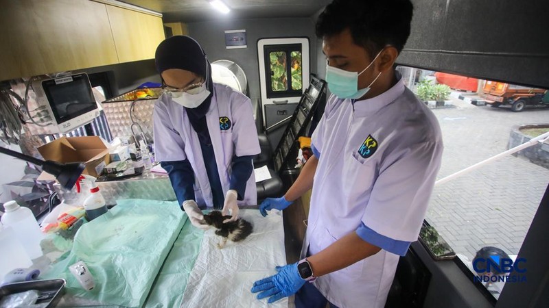 Layanan kesehatan di dalam Mobil Klinik Hewan Keliling di Jakarta, Selasa (14/7/2026).