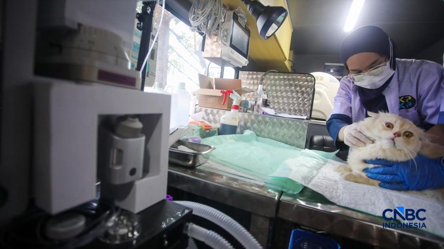 Layanan kesehatan di dalam Mobil Klinik Hewan Keliling di Jakarta, Selasa (14/7/2026).