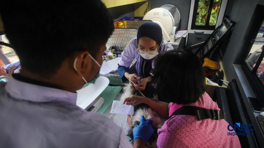 Layanan kesehatan di dalam Mobil Klinik Hewan Keliling di Jakarta, Selasa (14/7/2026).