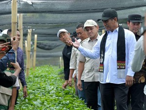 Realisasi Program Kementan di Aceh Capai 52,9 %, Satgas PRR Minta Dikebut Lagi