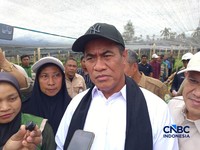 Menteri Pertanian (Mentan) Amran Sulaiman saat meninjau pembibitan kopi di Rimba Raya KM 60, Bener Meriah, Aceh, Selasa (14/7/2026). (CNBC Indonesia/Martyasari Rizky)