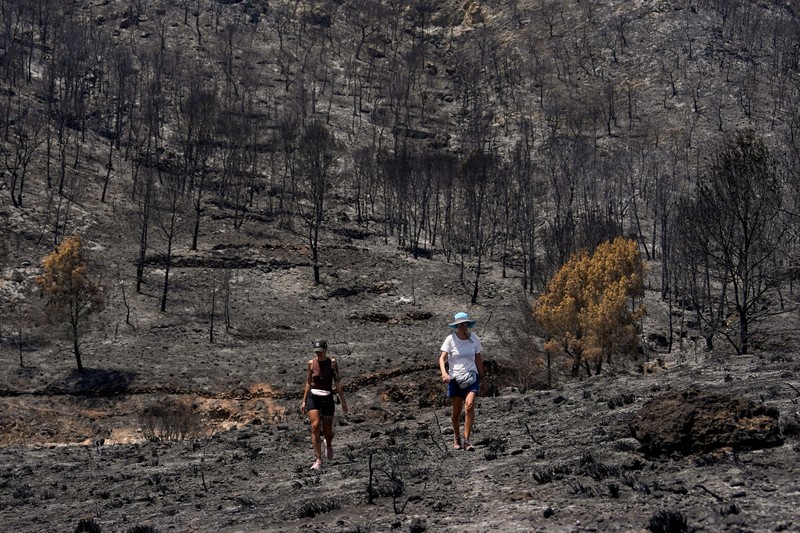 Pemandangan sebuah rumah yang dikelilingi oleh puing-puing akibat kebakaran hutan mematikan di Bedar, Almeria, Spanyol, 13 Juli 2026. (REUTERS/Ana Beltran)