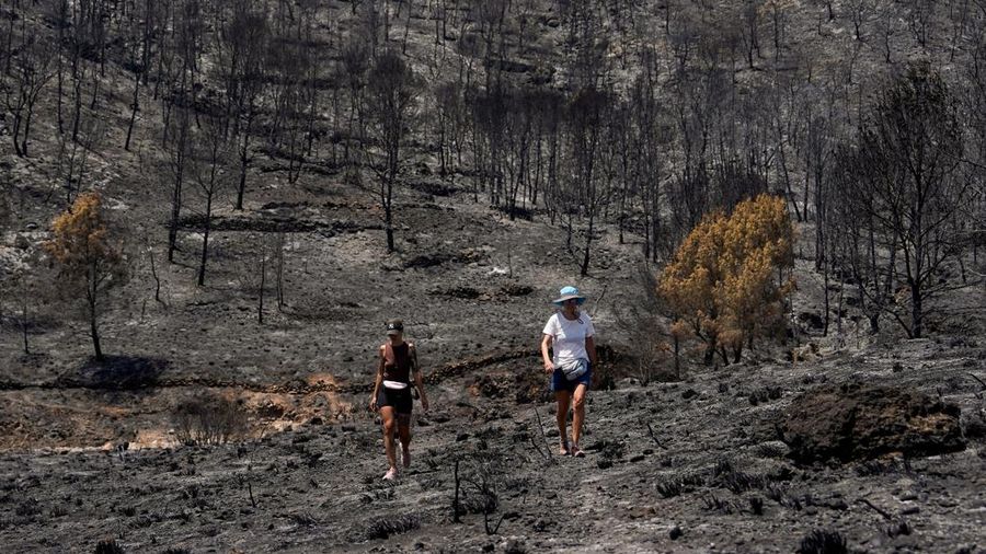 Orang-orang berjalan di sekitar area pasca kebakaran hutan mematikan di Bedar, Almeria, Spanyol, 13 Juli 2026.