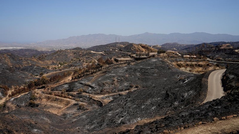 Pemandangan area yang terbakar akibat kebakaran hutan dahsyat di Bedar, Almeria, Spanyol, 13 Juli 2026.