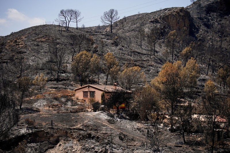 Pemandangan sebuah rumah yang dikelilingi oleh puing-puing akibat kebakaran hutan mematikan di Bedar, Almeria, Spanyol, 13 Juli 2026. (REUTERS/Ana Beltran)