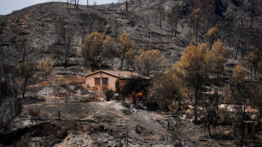 Pemandangan sebuah rumah yang dikelilingi oleh puing-puing akibat kebakaran hutan mematikan di Bedar, Almeria, Spanyol, 13 Juli 2026. (REUTERS/Ana Beltran)
