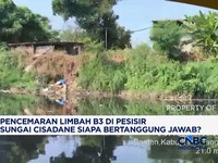 Pencemaran Limbah B3 di Pesisir Sungai Cisadane
