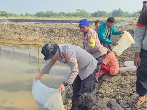 Dukung Ketahanan Pangan, Polairud Polda Metro Tebar 15 Ribu Benih Lele di Bekasi