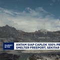 Antam Siap Caplok 100% Produksi Emas dari Smelter Freeport