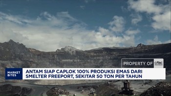 Antam Siap Caplok 100% Produksi Emas dari Smelter Freeport