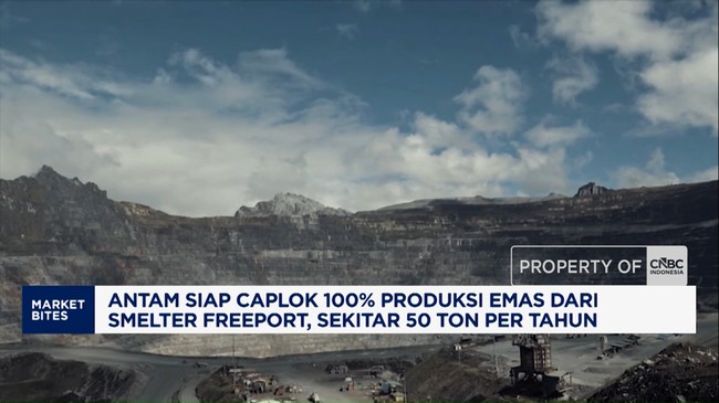 Video: Antam Siap Caplok 100% Produksi Emas dari Smelter Freeport