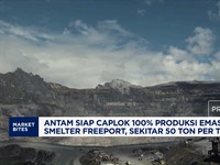 Antam Siap Caplok 100% Produksi Emas dari Smelter Freeport