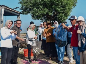 DPRD Puji Upaya Pemkot Surabaya Perbaiki Akses Tambak Medokan Ayu