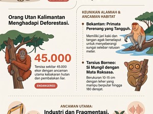 Infografis: 5 Satwa Asli Borneo, Populasinya Makin Mengkhawatirkan