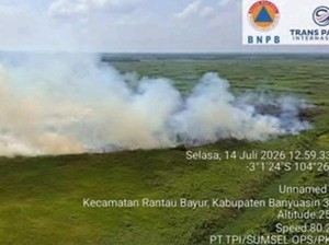 9 Kabupaten di Sumsel Terjadi Karhutla, Puluhan Hektare Lahan Terbakar