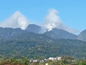Hutan di Gunung Biru Mojokerto Terbakar, 4 Regu Damkar Diterjunkan