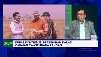 Kembangkan Benih Unggul Seperti India - AS, Pengusaha Buth Insentif Pajak
