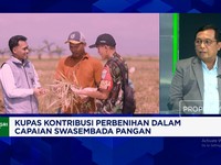 Kembangkan Benih Unggul Seperti India - AS, Pengusaha Buth Insentif Pajak
