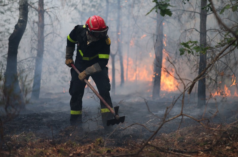 Petugas pemadam kebakaran memadamkan kebakaran hutan yang melanda kawasan hutan bersejarah Fontainebleau, dekat Paris, Prancis, Selasa (14/7/2026). (REUTERS/Stephane Mahe)