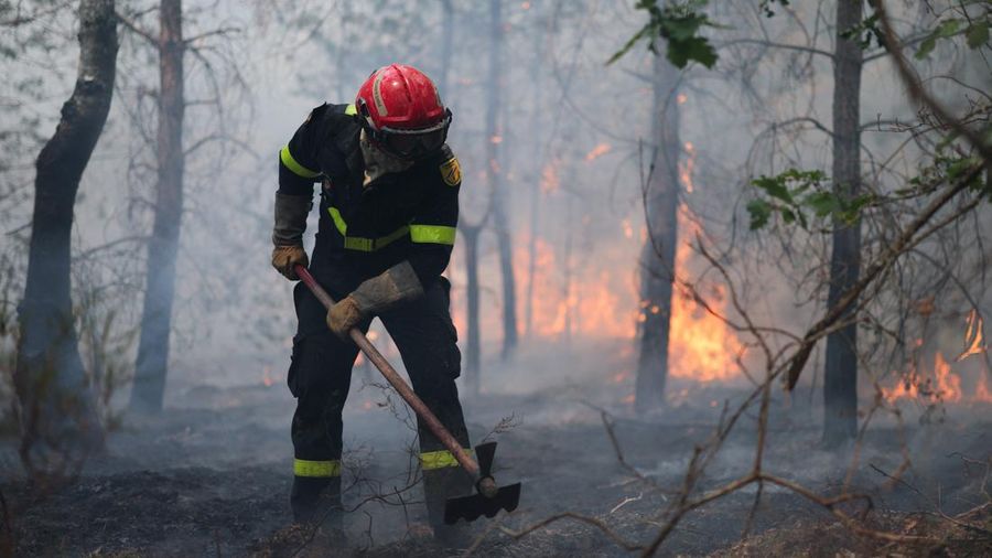 Petugas pemadam kebakaran memadamkan kebakaran hutan yang melanda kawasan hutan bersejarah Fontainebleau, dekat Paris, Prancis, Selasa (14/7/2026). (REUTERS/Stephane Mahe)