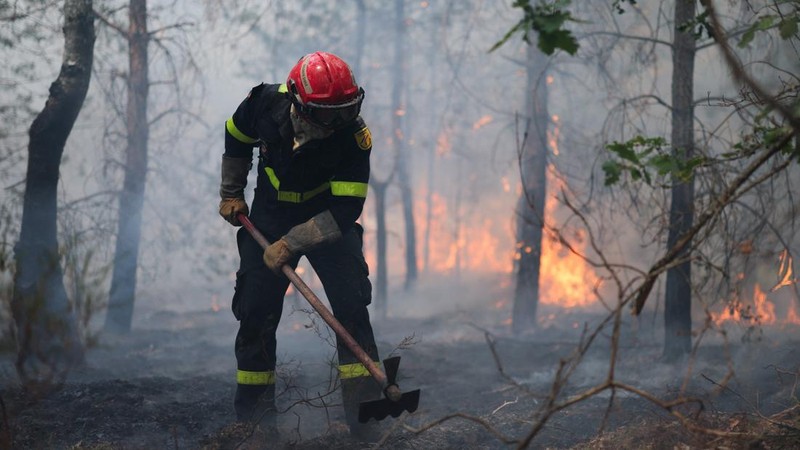 Petugas pemadam kebakaran memadamkan kebakaran hutan yang melanda kawasan hutan bersejarah Fontainebleau, dekat Paris, Prancis, Selasa (14/7/2026). (REUTERS/Stephane Mahe)