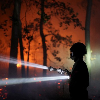 Petugas pemadam kebakaran memadamkan kebakaran hutan yang melanda kawasan hutan bersejarah Fontainebleau, dekat Paris, Prancis, Selasa (14/7/2026). (REUTERS/Stephane Mahe)