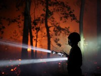 Petugas pemadam kebakaran memadamkan kebakaran hutan yang melanda kawasan hutan bersejarah Fontainebleau, dekat Paris, Prancis, Selasa (14/7/2026). (REUTERS/Stephane Mahe)