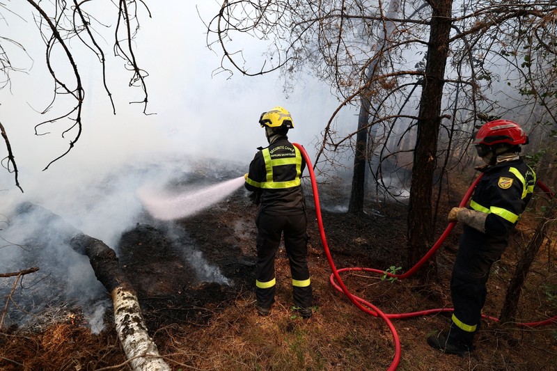 Petugas pemadam kebakaran memadamkan kebakaran hutan yang melanda kawasan hutan bersejarah Fontainebleau, dekat Paris, Prancis, Selasa (14/7/2026). (REUTERS/Stephane Mahe)