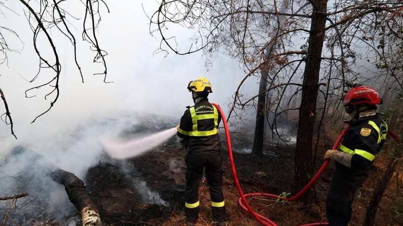 Petugas pemadam kebakaran memadamkan kebakaran hutan yang melanda kawasan hutan bersejarah Fontainebleau, dekat Paris, Prancis, Selasa (14/7/2026). (REUTERS/Stephane Mahe)