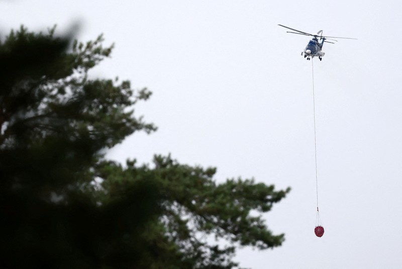 Petugas pemadam kebakaran memadamkan kebakaran hutan yang melanda kawasan hutan bersejarah Fontainebleau, dekat Paris, Prancis, Selasa (14/7/2026). (REUTERS/Stephane Mahe)