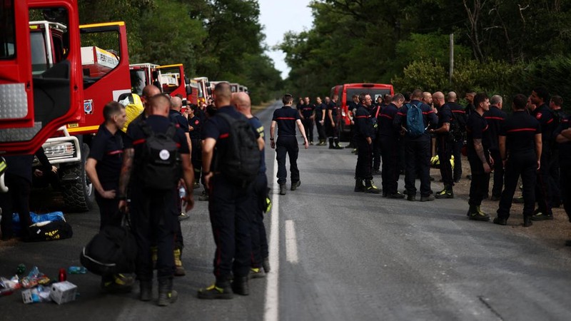 Petugas pemadam kebakaran memadamkan kebakaran hutan yang melanda kawasan hutan bersejarah Fontainebleau, dekat Paris, Prancis, Selasa (14/7/2026). (REUTERS/Stephane Mahe)