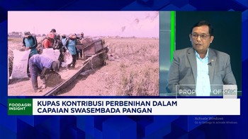 Swasembada Benih Unggul Bersertifikasi, RI Wajib Tingkatkan Kapasitas Bank Benih