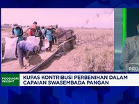 Swasembada Benih Unggul Bersertifikasi, RI Wajib Tingkatkan Kapasitas Bank Benih