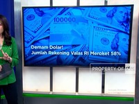 Demam Dolar! Jumlah Rekening Valas RI Meroket 58%