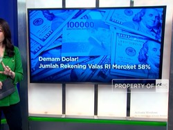 Demam Dolar! Jumlah Rekening Valas RI Meroket 58%