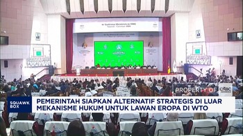 Indonesia Menang Parsial dalam Sengketa Dagang di WTO