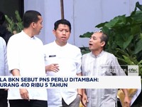 Kepala BKN Sebut PNS Perlu Ditambah: Berkurang 410 Ribu 5 Tahun