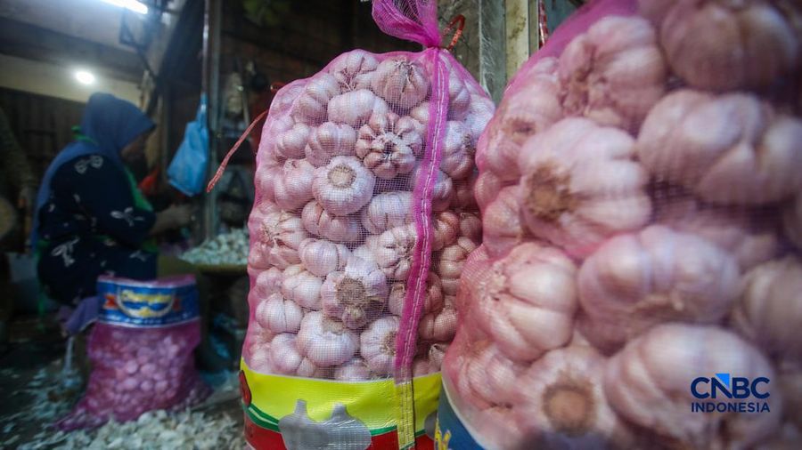 Pekerja mengupas bawang putih di Pasar Induk Kramat Jati, Jakarta, Kamis (16/7/2026). Badan Pusat Statistik (BPS) mencatat Indonesia masih sangat bergantung pada China untuk memenuhi kebutuhan impor bawang putih. (CNBC Indonesia/Faisal Rahman)