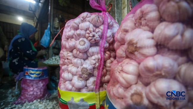 Mayday Mayday! Harga Bawang Putih Meledak Hampir di Seluruh RI